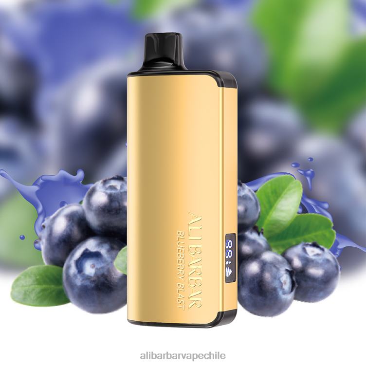 Alibarbar Ingot 9000 vaporizadores desechables explosión de arándanos 2864615 - Alibarbar Vape Nicotine