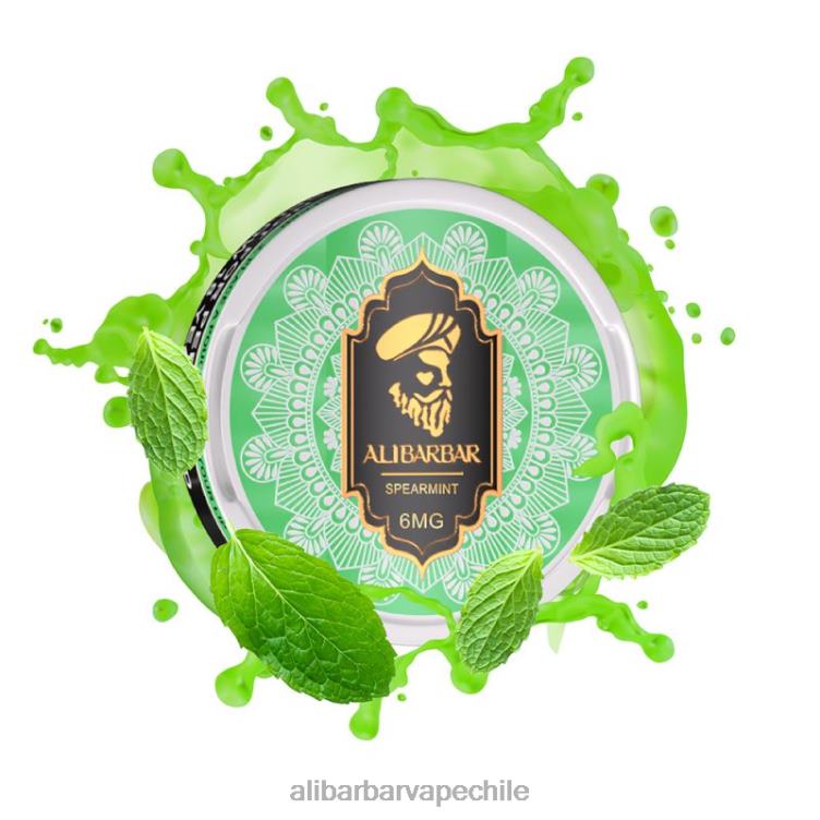 Alibarbar bolsas de nicotina menta verde 2864690 - Alibarbar Vape Nicotine