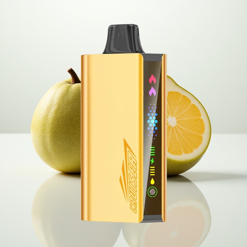 JNR Cruiser 12000 Puffs Sin Carga Vape Desechable Menta Fresca