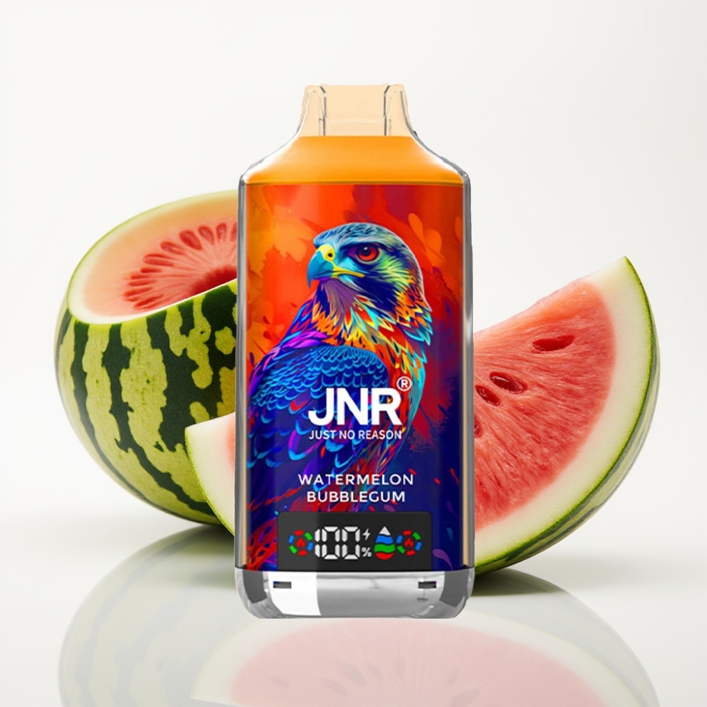 JNR Falcon X 18000 Puffs Vape Doble Malla Sandía Chicle 24ml 750mAh Tipo-C