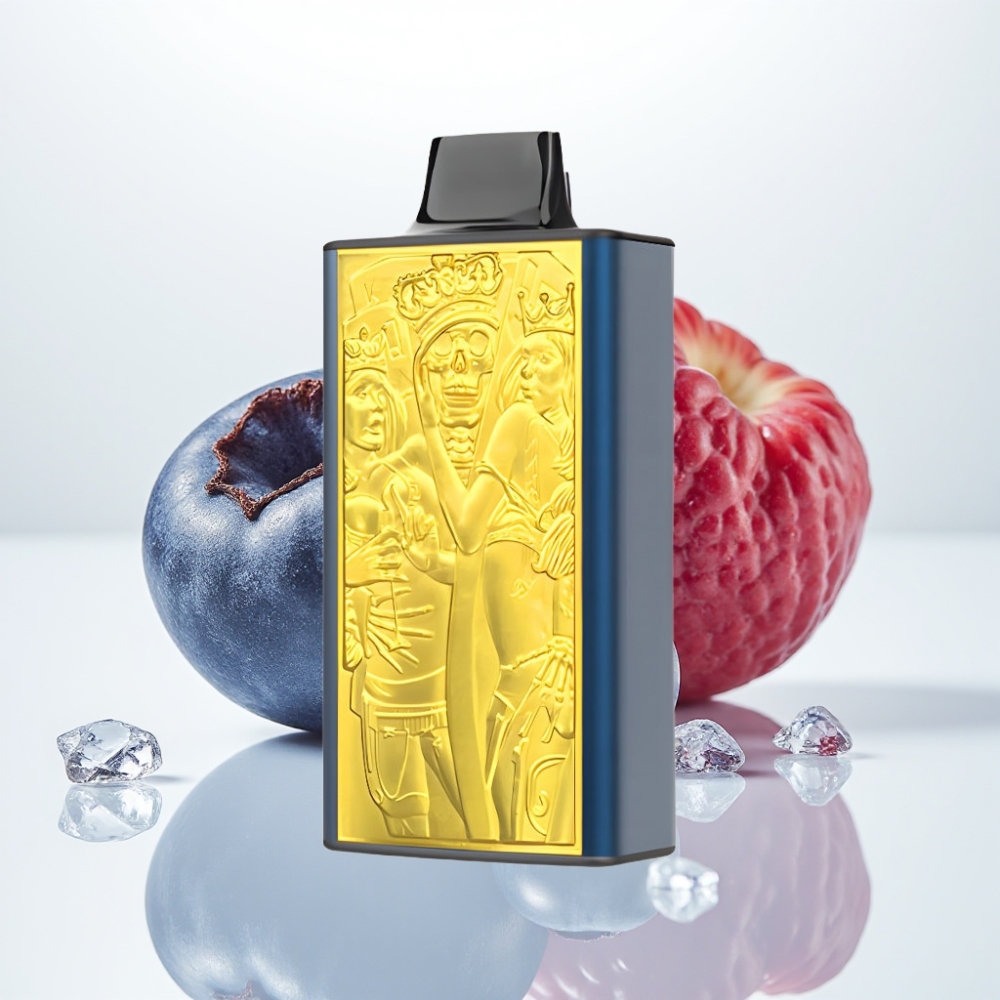 JNR Mega Box 25000 Puffs Vape Desechable Arándano Helado – 30ml Doble Bobina