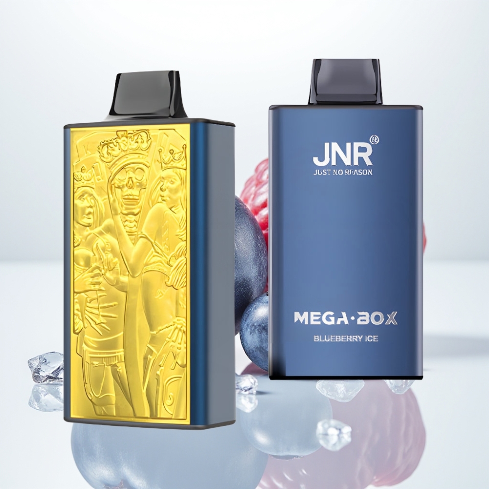 JNR Mega Box 25000 Puffs Vape Desechable Arándano Helado – 30ml Doble Bobina