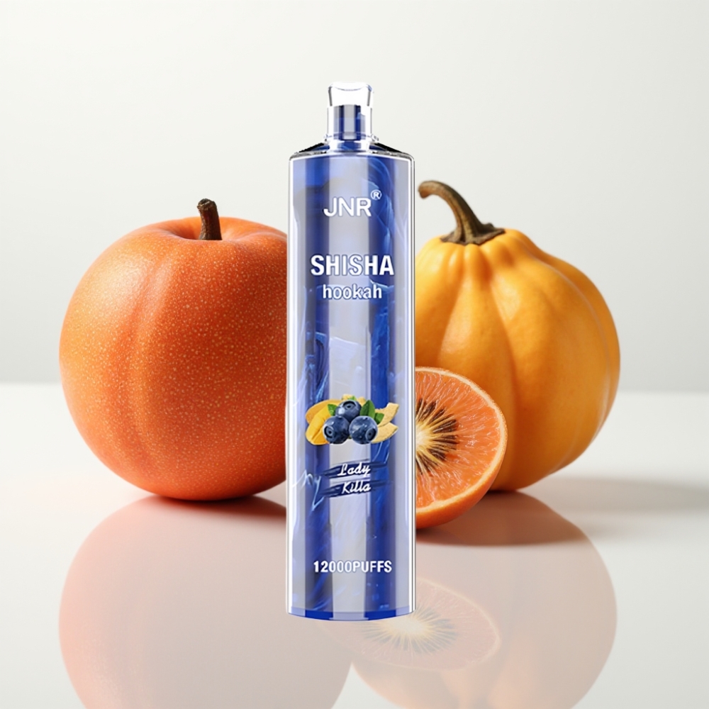 JNR Shisha Hookah 12000 Puffs 24ml 06 Ohm Fast Charging - Dama Asesina