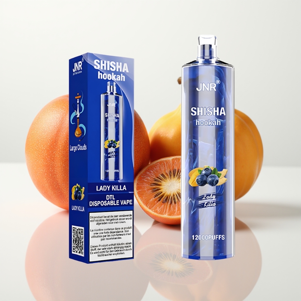 JNR Shisha Hookah 12000 Puffs 24ml 06 Ohm Fast Charging - Dama Asesina