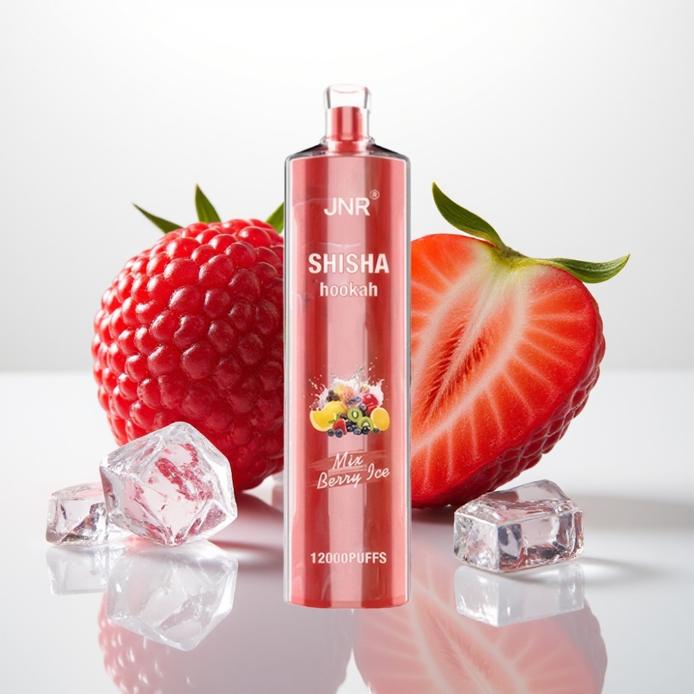 JNR Shisha Hookah 12000 Puffs Berry Ice 24ml 750mAh Tipo-C Vape Desechable