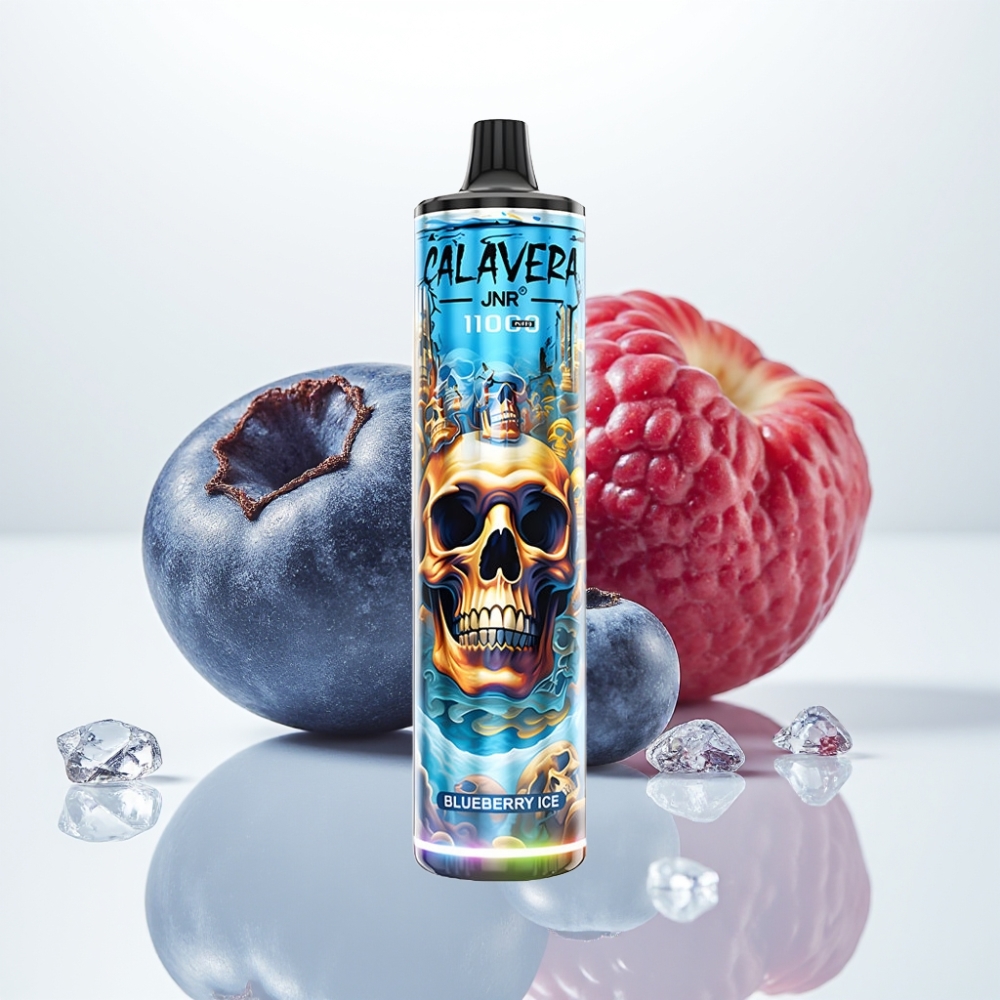 JNR Calavera 11000 Puffs Vape Desechable Arándano Helado con Tipo-C y 850mAh