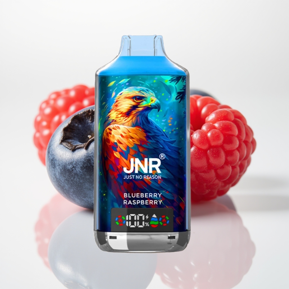 JNR Falcon X 18000 Puffs Vape Desechable Arándano Frambuesa – 24ml, Doble Malla, Tipo-C