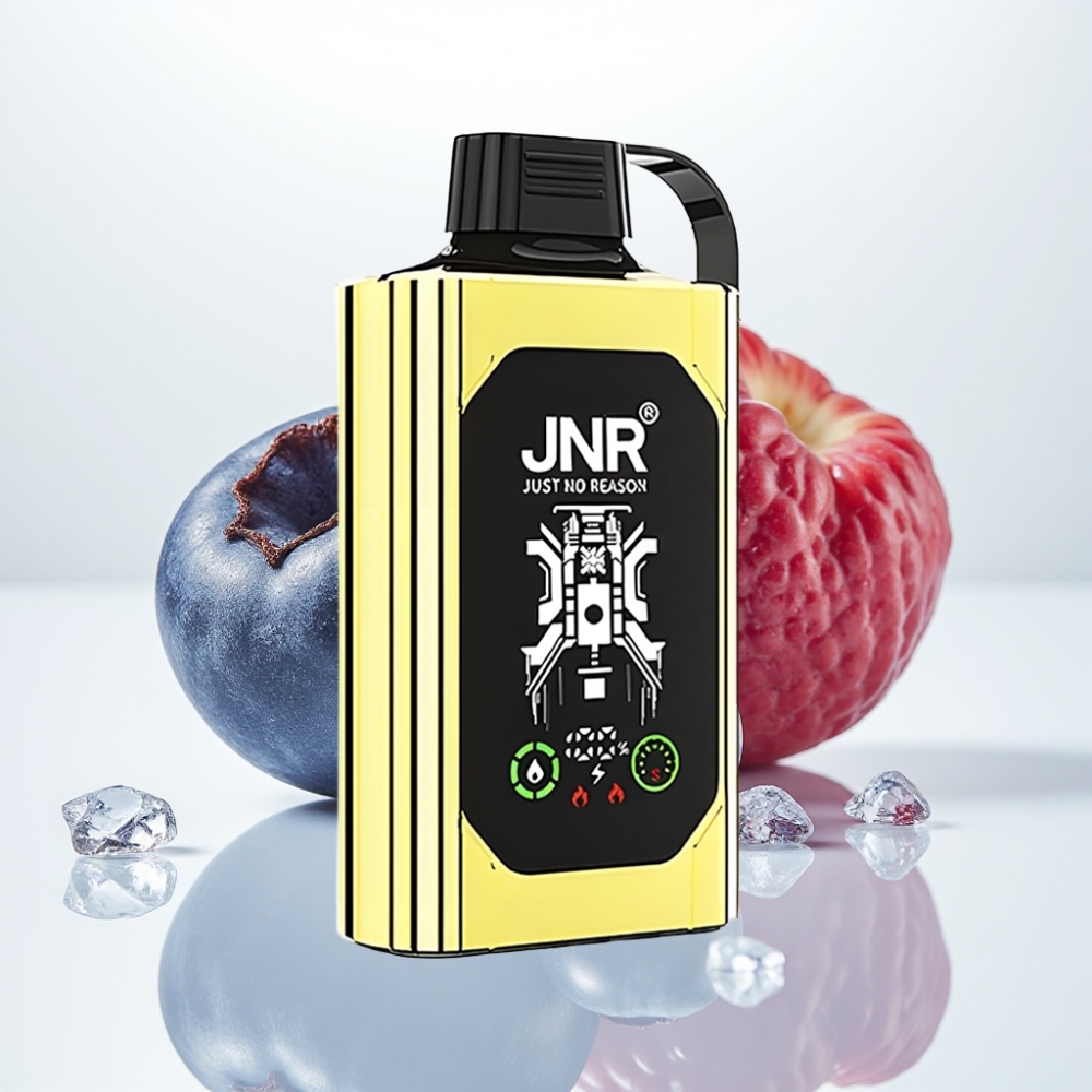 JNR Shisha Hookah Box 20500 Puffs - Arándano Helado, 25ml, Doble Malla, Tipo-C