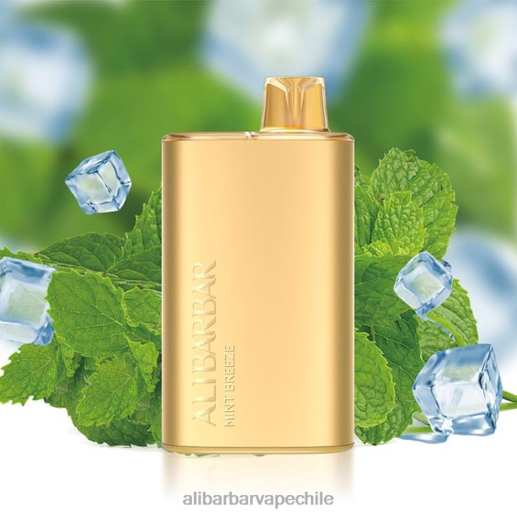 Alibarbar Rich 8000 vaporizadores desechables brisa de menta 286468 - Alibarbar Vape Review