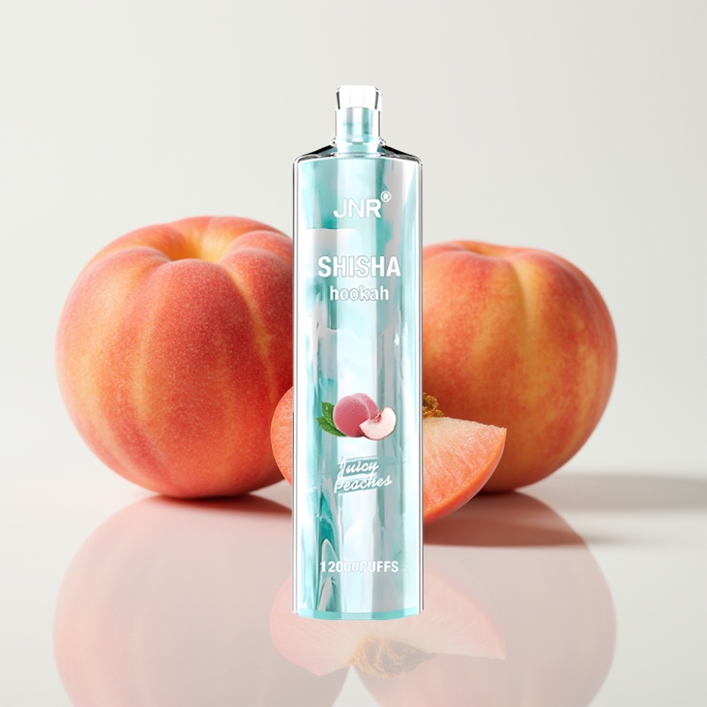 JNR Shisha Hookah 12000 Puffs Duradero - Durazno Jugoso 750mAh Tipo-C