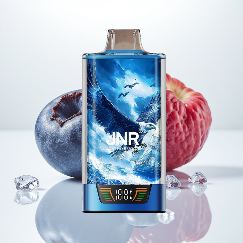 JNR Falcon Pro 28000 Desechable Vape Arándano Helado – 30ml 5 Nicotina USB-C